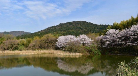 今月の三輪山（会員）