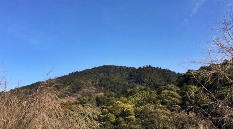 今月の三輪山2017年1月18日