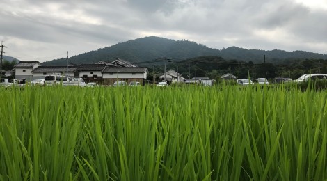 八月の三輪山