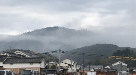 1月の三輪山