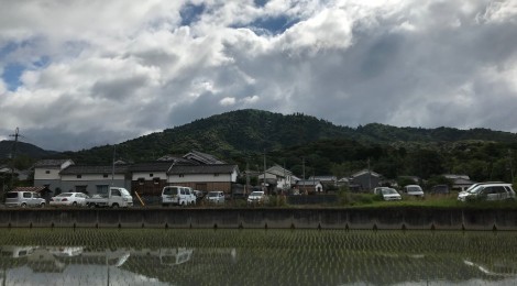 6月の三輪山