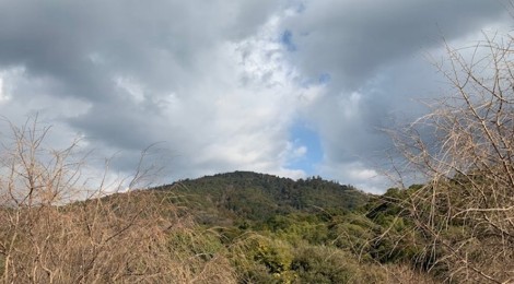 1月の三輪山