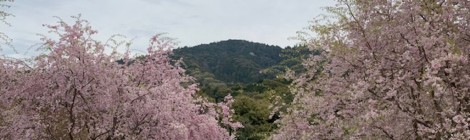 4月の三輪山