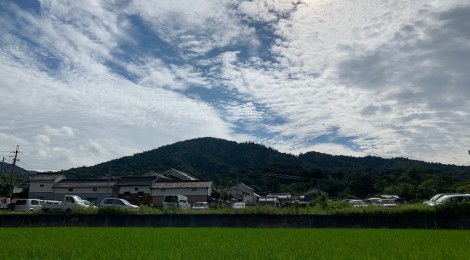 7月の三輪山