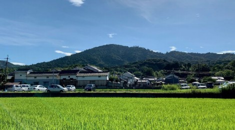 8月の三輪山