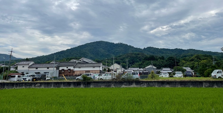 7月の三輪山